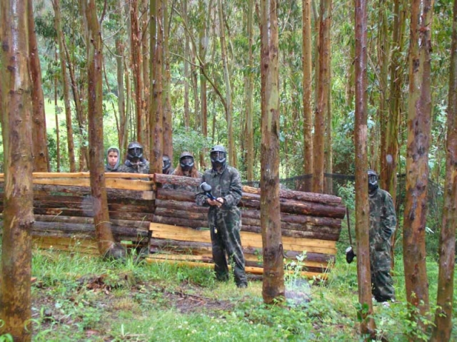 barrera entre los arboles